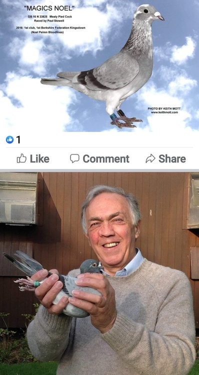 Screenshot_20211217-113521_Facebook.jpg
