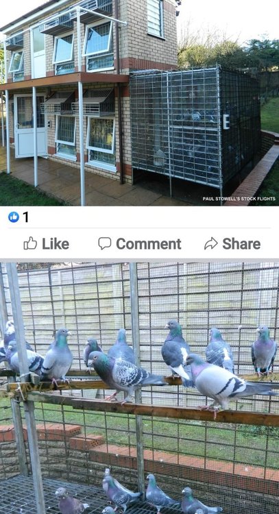 Screenshot_20211217-113547_Facebook.jpg