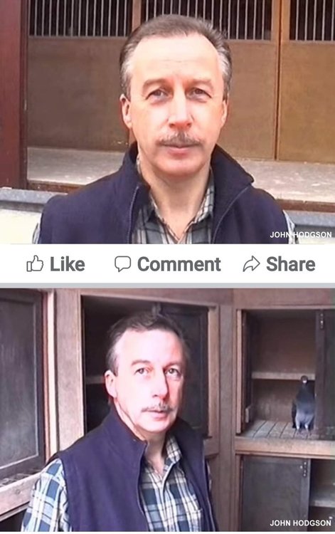 Screenshot_20211230-144144_Facebook.jpg