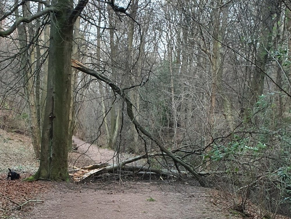 20220129_084250.jpg
