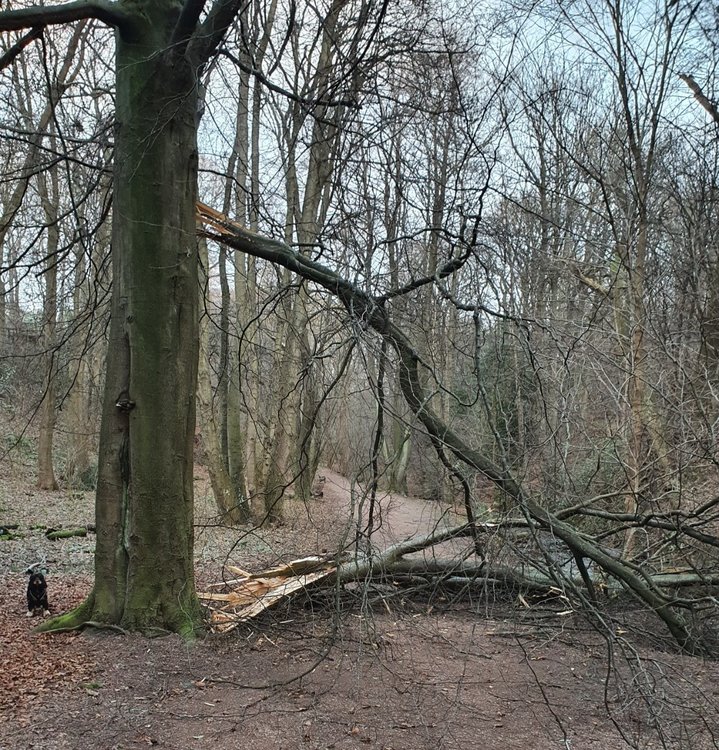 20220129_084303.jpg