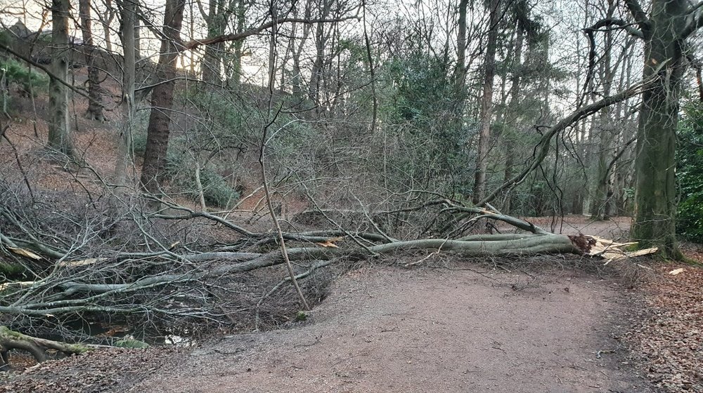 20220129_084331.jpg