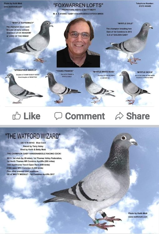 Screenshot_20220107-124234_Facebook.jpg