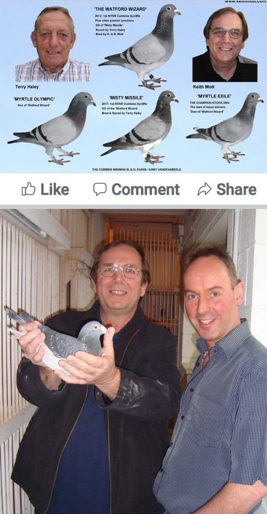 Screenshot_20220107-124242_Facebook.jpg