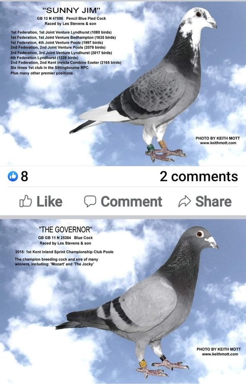Screenshot_20220121-160257_Facebook.jpg