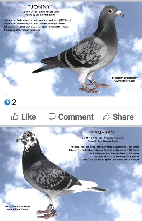 Screenshot_20220121-160306_Facebook.jpg