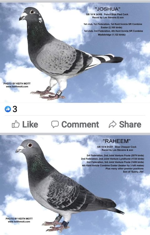 Screenshot_20220121-160314_Facebook.jpg