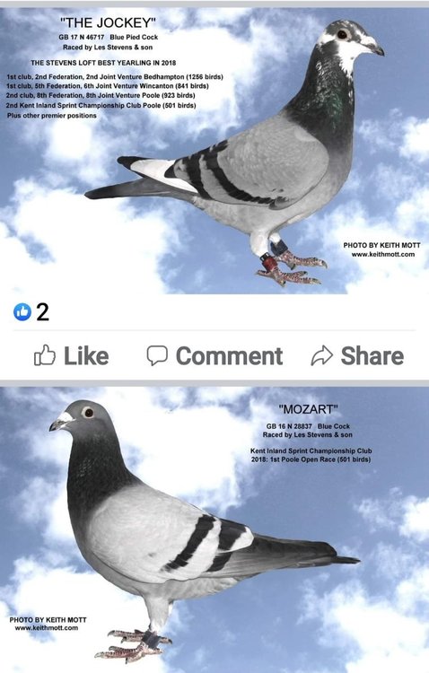 Screenshot_20220121-160325_Facebook.jpg