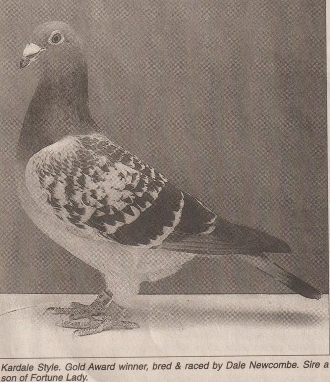 Kardale Style.jpg