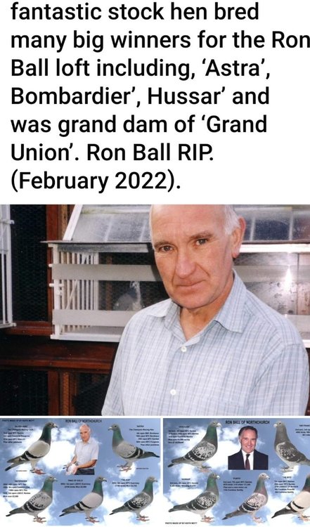Screenshot_20220208-113948_Facebook.jpg