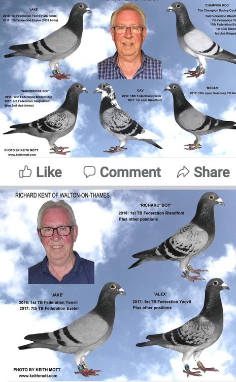 Screenshot_20220215-154449_Facebook.jpg