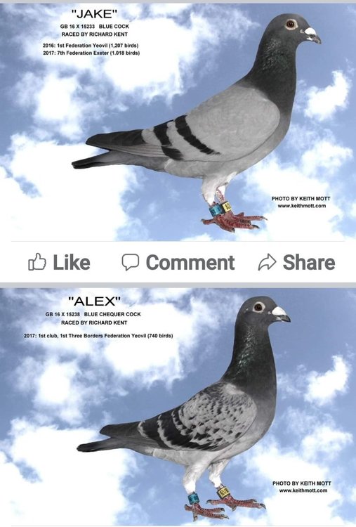 Screenshot_20220215-154515_Facebook.jpg