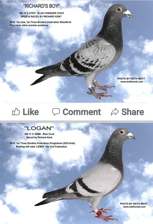 Screenshot_20220215-154524_Facebook.jpg