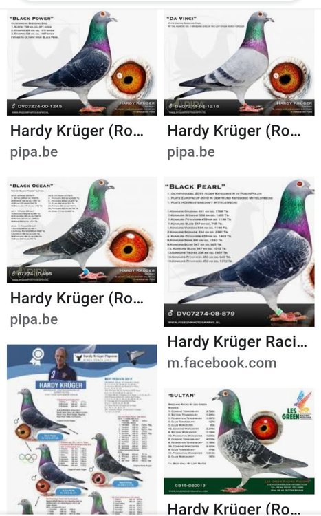 Screenshot_20220217-215618_Google.jpg