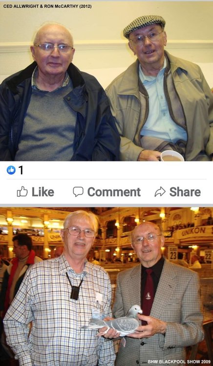 Screenshot_20220221-134706_Facebook.jpg