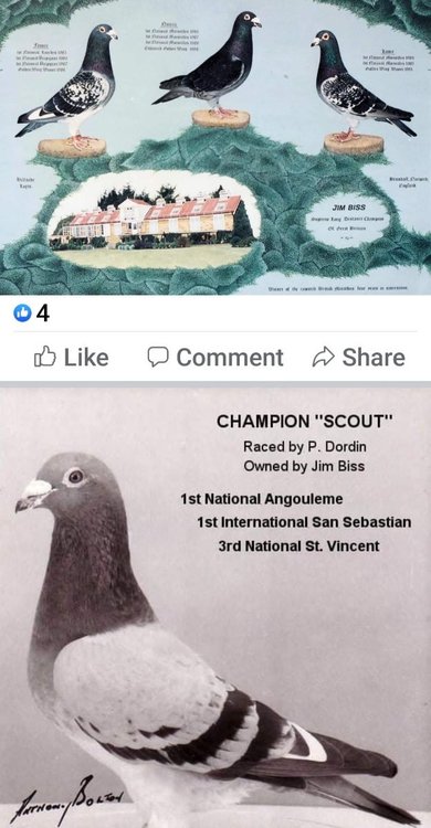 Screenshot_20220302-171756_Facebook.jpg