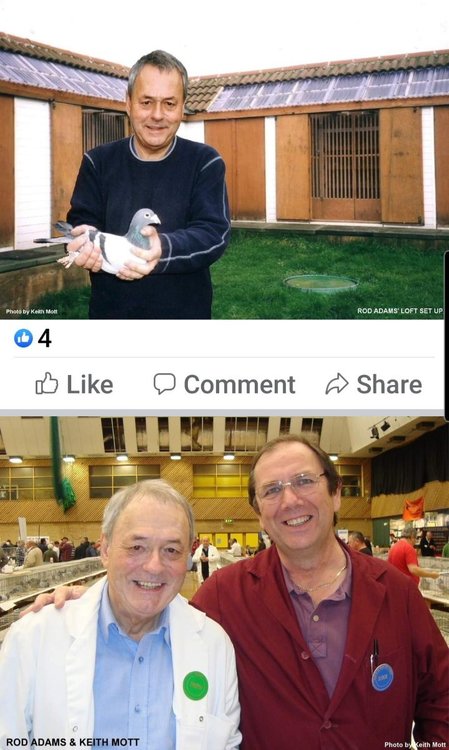 Screenshot_20220316-112534_Facebook.jpg