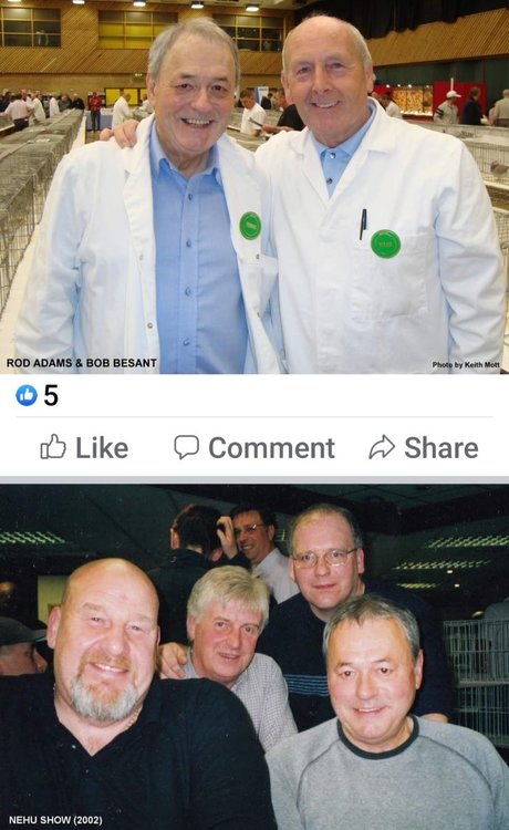 Screenshot_20220316-112541_Facebook.jpg