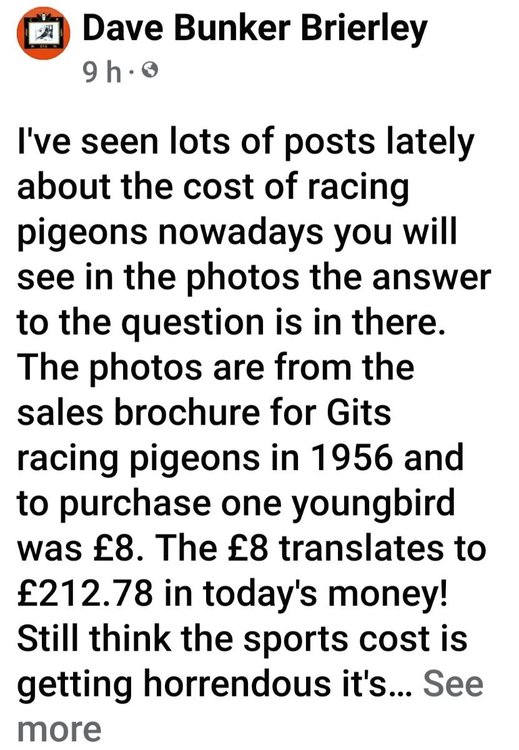Screenshot_20220520-075954_Facebook.jpg