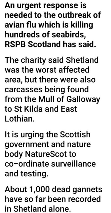 Screenshot_20220609-181714_BBC News.jpg