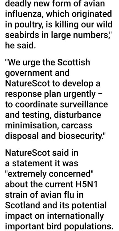 Screenshot_20220609-181828_BBC News.jpg