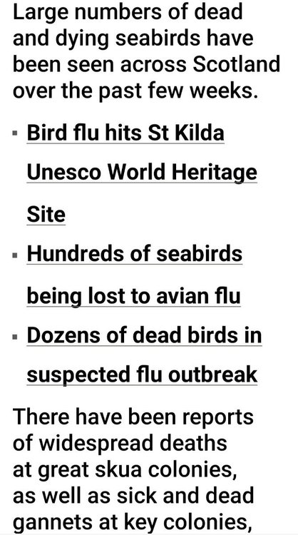 Screenshot_20220609-181735_BBC News.jpg