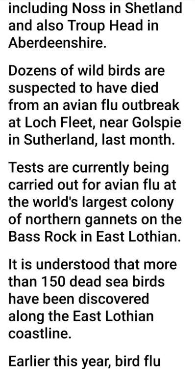Screenshot_20220609-181748_BBC News.jpg