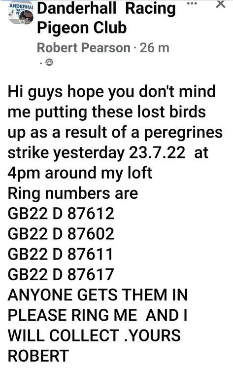 Screenshot_20220724-172539_Facebook.jpg