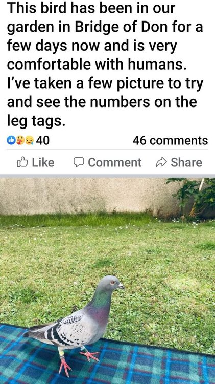 Screenshot_20220809-160337_Facebook.jpg