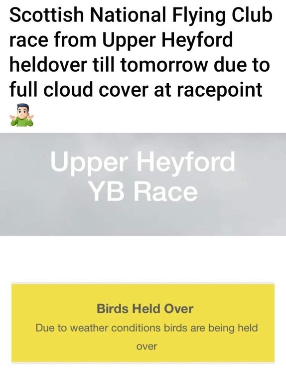 Screenshot_20220910-095410_Facebook.jpg
