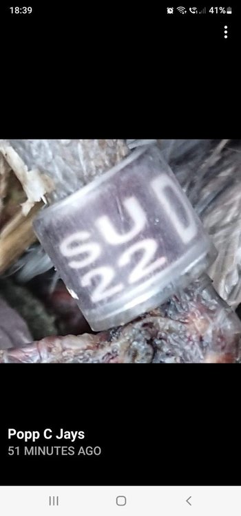 Screenshot_20220922-183941_Facebook.jpg