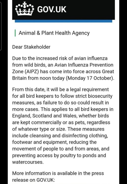 Screenshot_20221017-142857_Facebook.jpg
