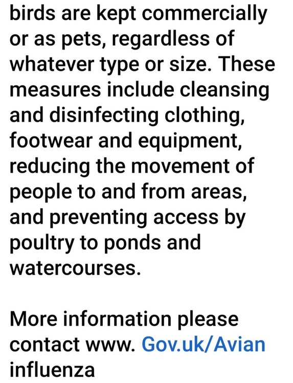 Screenshot_20221018-153725_Facebook.jpg