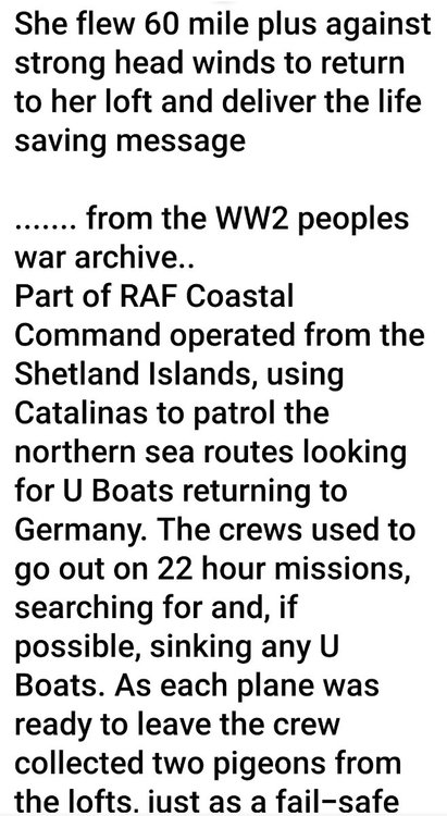 Screenshot_20221117_055344_Facebook.jpg