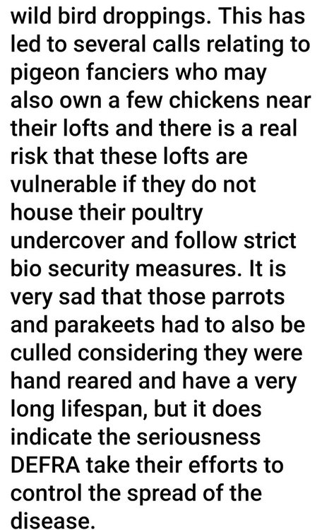Screenshot_20221129_140555_Facebook.jpg