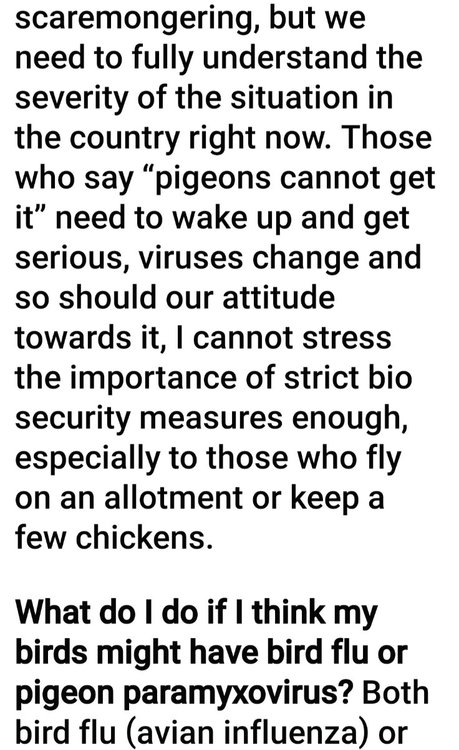 Screenshot_20221129_140624_Facebook.jpg