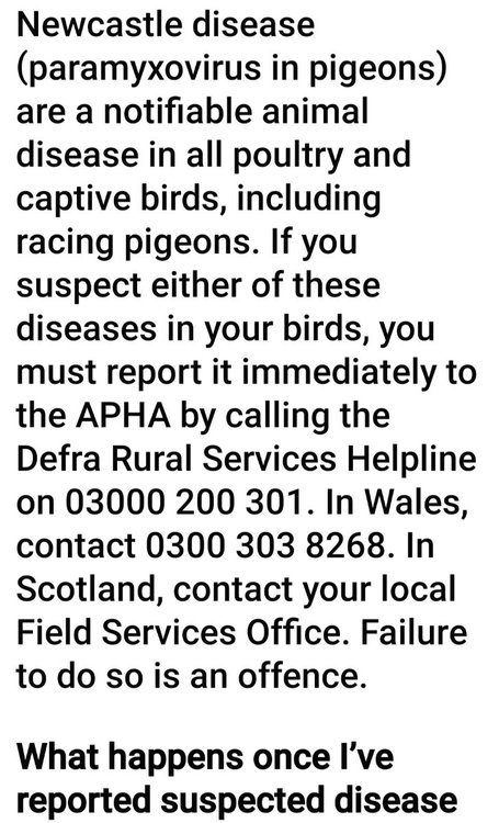 Screenshot_20221129_140635_Facebook.jpg