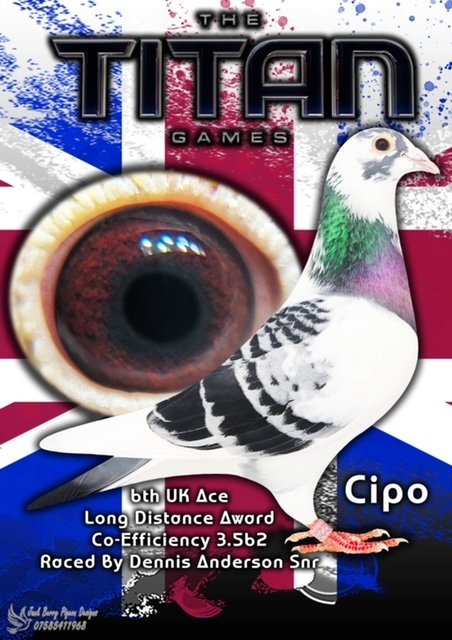 CIPO see text.JPG
