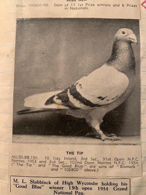 The Tip see text.jpg