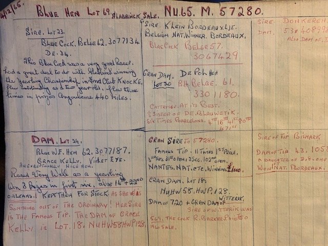My Dad's Pedigree.jpg