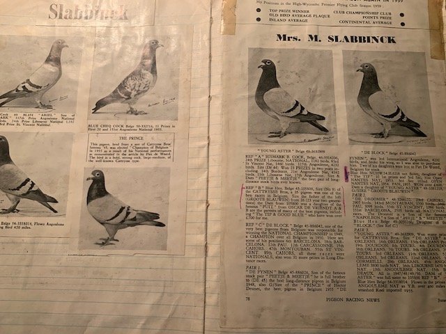 Photo from my dad's loft book.jpg
