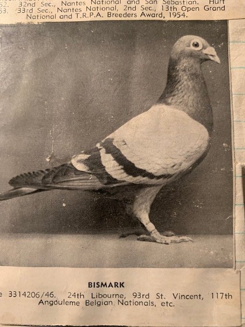 Bismark.jpg