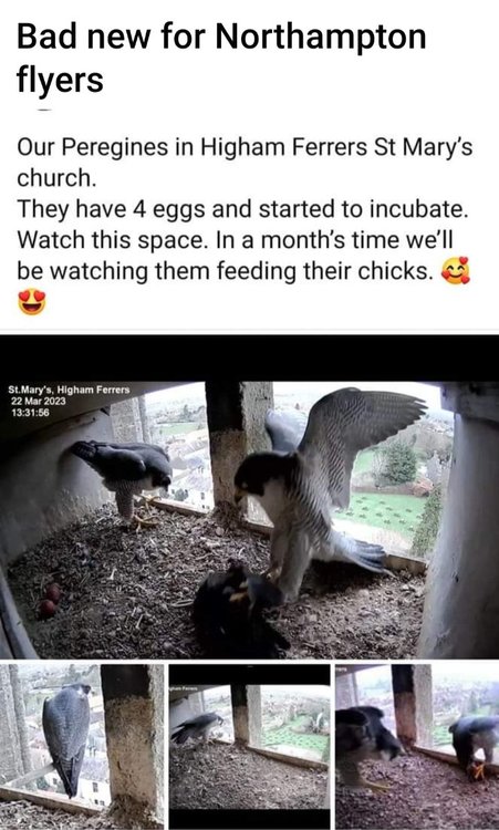 Screenshot_20230327_173023_Facebook.jpg
