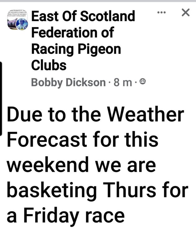 Screenshot_20230419_192408_Facebook.jpg