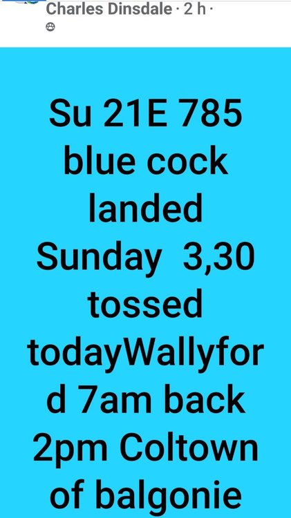 Screenshot_20230509_184219_Facebook.jpg