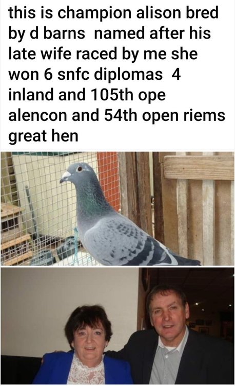 Screenshot_20230523_103406_Facebook.jpg