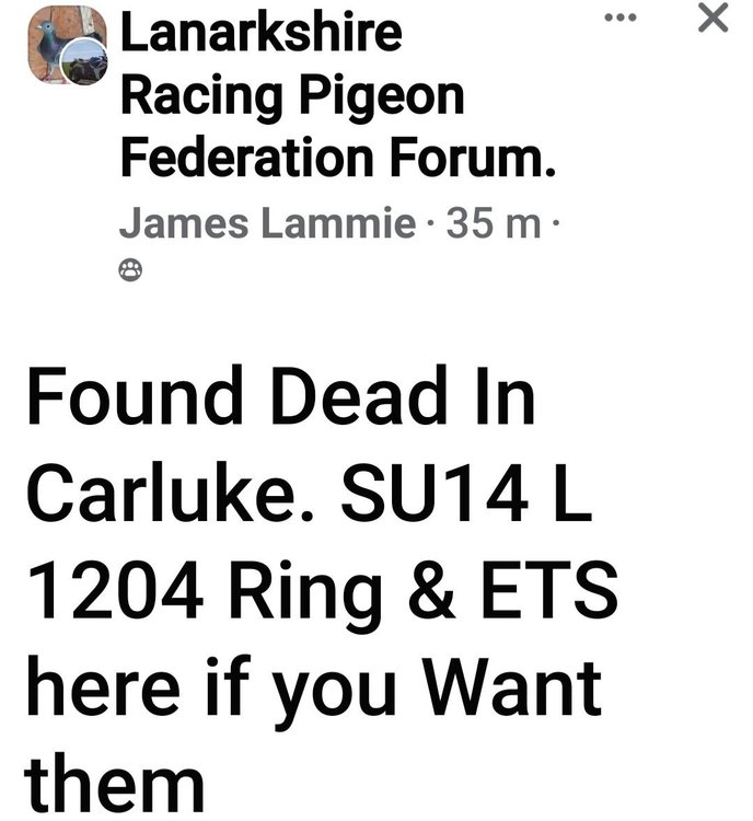 Screenshot_20230615_114958_Facebook.jpg