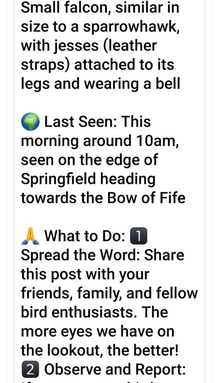 Screenshot_20230615_170923_Facebook.jpg