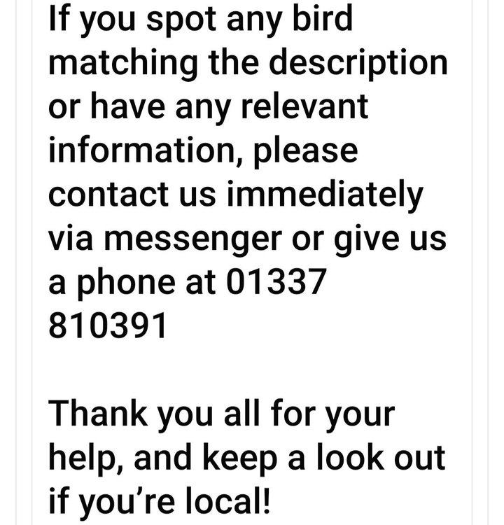 Screenshot_20230615_170935_Facebook.jpg