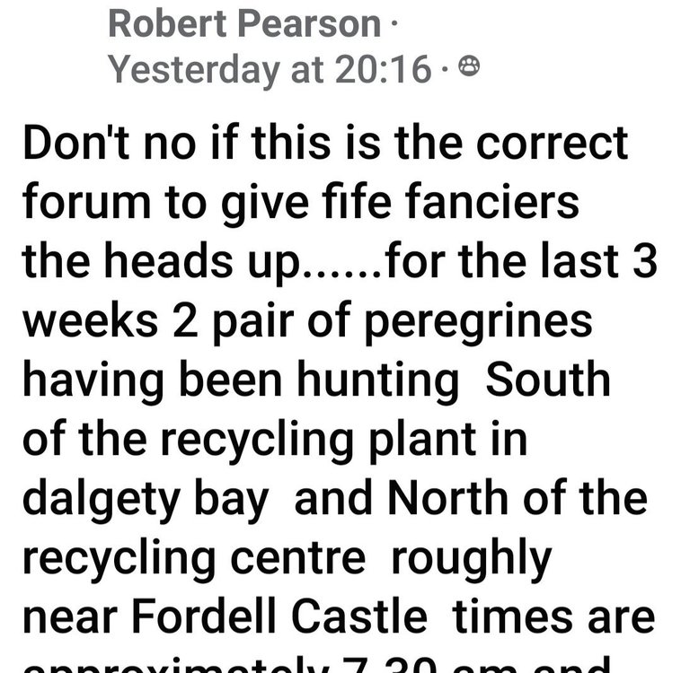 Screenshot_20230713_195935_Facebook.jpg